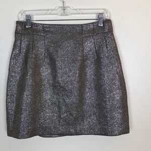 H&M | Metallic skirt